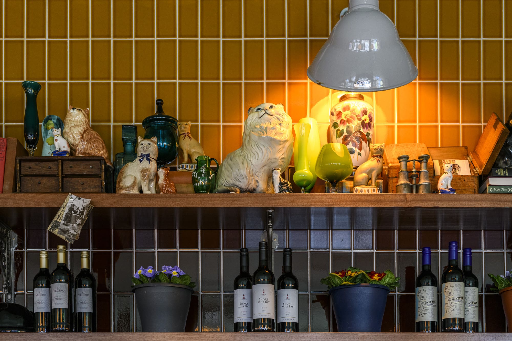 A shelf acts as a riparo, adorned with ceramic cat figurines, green bottles, potted plants, books, and wine bottles, all gently illuminated by a white hanging lamp against a tiled wall.