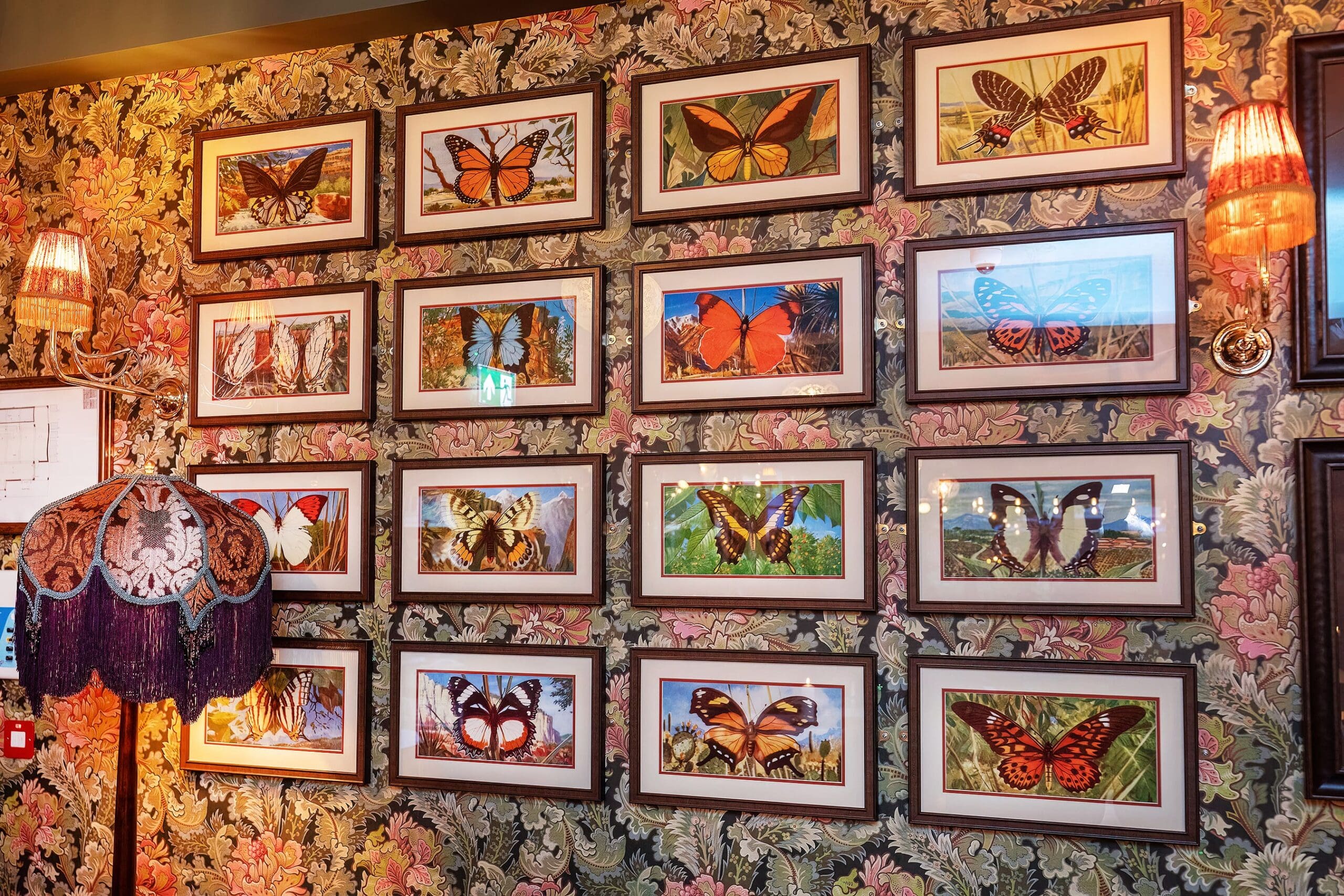 A wall decorated with framed butterfly illustrations arranged in a grid, surrounded by floral wallpaper with petalo patterns and vintage lamps with ornate shades.