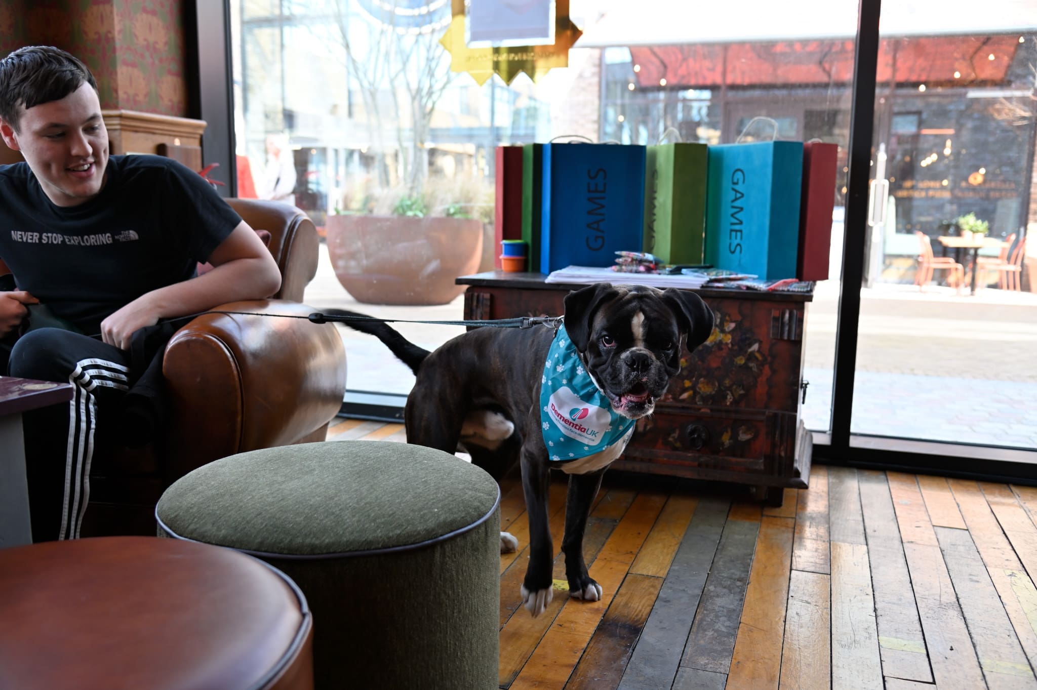A happy black and white dog named Volpo, wearing a blue bandana, stands on a leash inside a cozy cafe. A smiling young man sits nearby as board games are stacked on a cabinet in the background near large windows.